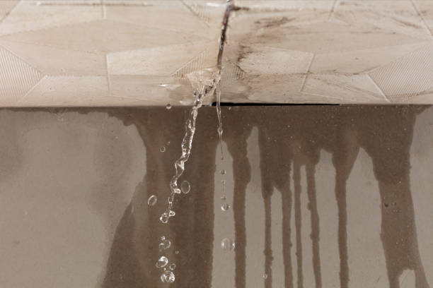 Professional Water Damage Repair technician working in Toledo, OR